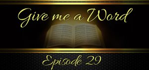 Episode 29