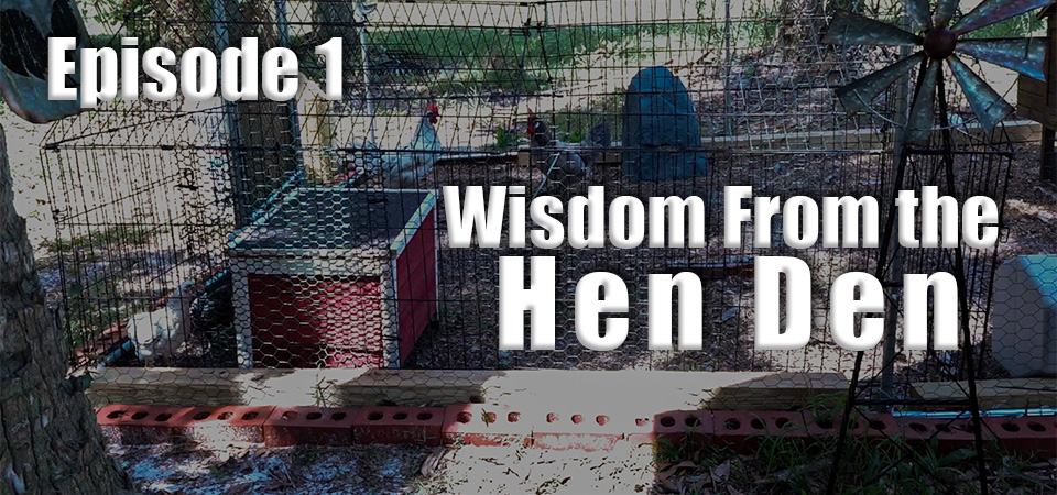 Wisdom From the Hen Den – S1 – Episode 1 (S1E1)