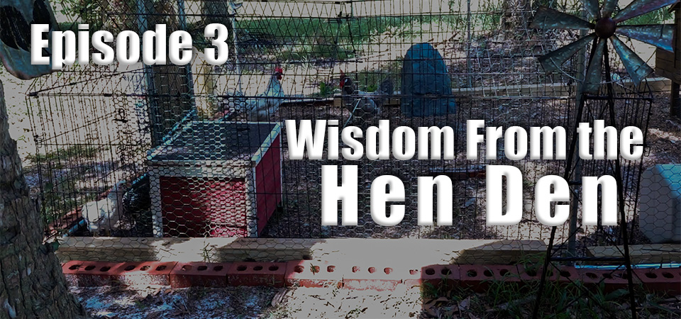 Wisdom From the Hen Den – S1 – Episode 3 (S1E3)