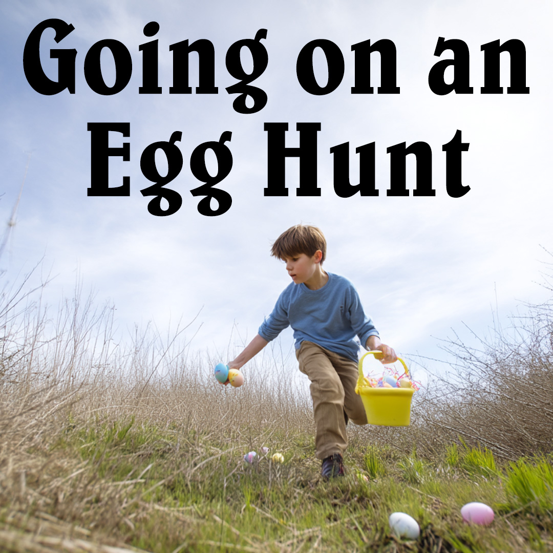 Going on an Egg Hunt