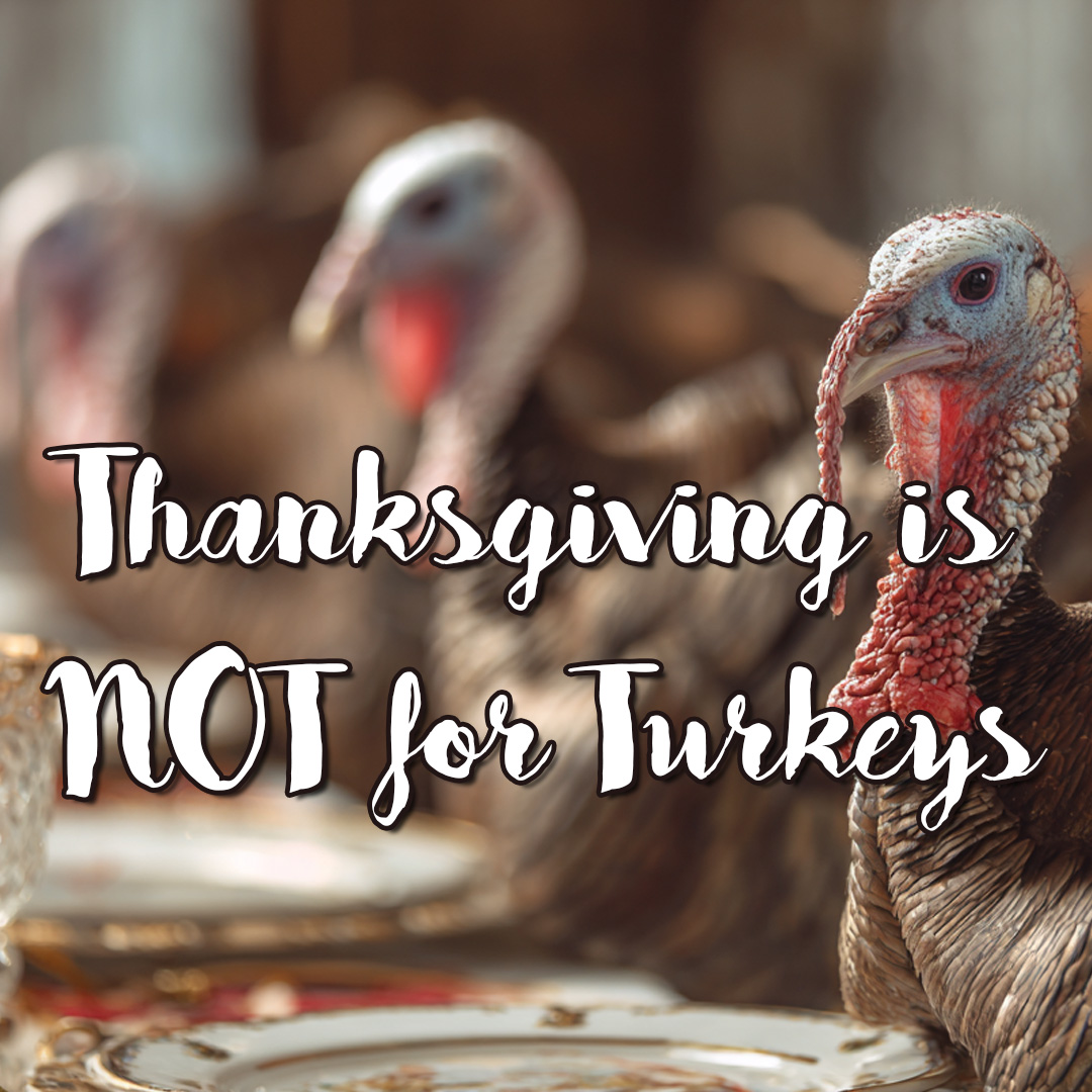 Thanksgiving is NOT for Turkeys