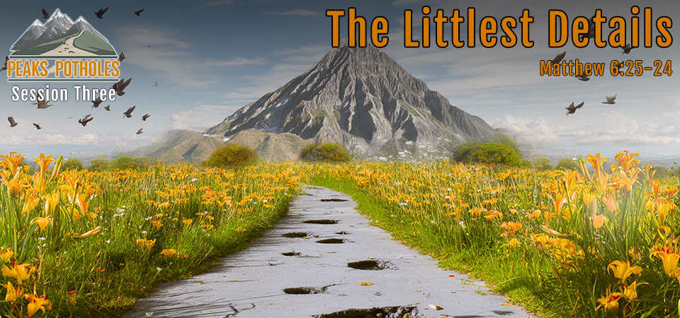 The Littlest Details – Peaks and Potholes (Session Three)