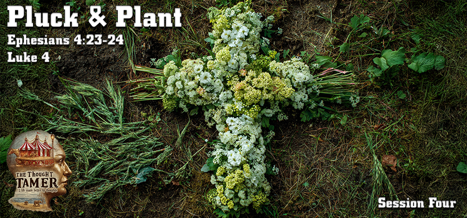 Pluck & Plant – The Thought Tamer (Session Four)