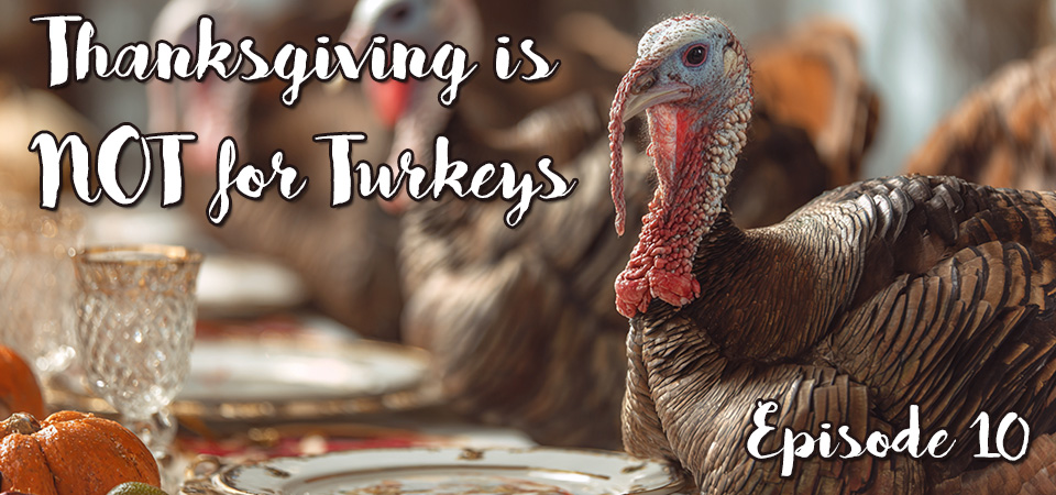 Thanksgiving is NOT for Turkeys (s1e10) – More Than a ‘Friend’: The Blessing of Loving Loyalty